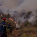 Πυρκαγιά στη Βοιωτία. Μονή Οσίου Λουκά φωτιά ανάμεσα Κυριάκι Στειρι πλαγιές Ελικώνα. Πέμπτη 24 Αυγούστου 2023  (EUROKINISSI)