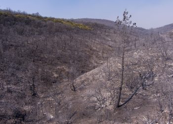 Εικόνες απο drone της καμμένης γής που άφησε πίσω της η καταστροφική πυρκαγιά στην Αλεξανδρούπολη. Τετάρτη 23 Αυγούστου 2023  (ΒΑΣΙΛΗΣ ΒΕΡΒΕΡΙΔΗΣ / ΜΟΤΙΟΝ ΤΕΑΜ)
